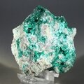Dioptase Mineral Specimen (Tsumeb) ~50mm