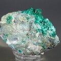 Dioptase Mineral Specimen (Tsumeb) ~62mm