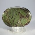 Dragons Blood Palmstone (Extra Grade) ~70x50mm