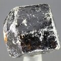 Dravite (Brown Tourmaline) Healing Crystal (India) ~25mm