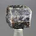 Dravite (Brown Tourmaline) Healing Crystal (India) ~25mm