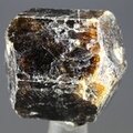 Dravite (Brown Tourmaline) Healing Crystal (India) ~25mm