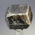 Dravite (Brown Tourmaline) Healing Crystal (India) ~26mm