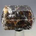 Dravite (Brown Tourmaline) Healing Crystal (India) ~27mm