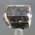 Dravite (Brown Tourmaline) Healing Crystal (India) ~28mm