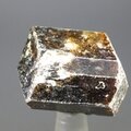 Dravite (Brown Tourmaline) Healing Crystal (India) ~28mm