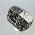 Dravite (Brown Tourmaline) Healing Crystal (India) ~29mm