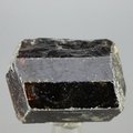Dravite (Brown Tourmaline) Healing Crystal (India) ~29mm