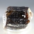 Dravite (Brown Tourmaline) Healing Crystal (India) ~30mm