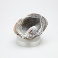 Dugway Agate Geode ~5cm