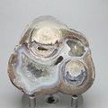 Dugway Agate Geode ~67mm