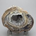 Dugway Agate Geode ~67mm
