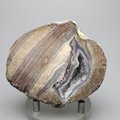 Dugway Agate Geode ~70mm