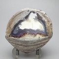 Dugway Agate Geode ~74mm