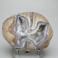 Dugway Agate Geode ~76cm