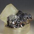 Elmwood Calcite Mineral Specimen ~45mm
