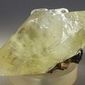 Elmwood Calcite Mineral Specimen ~53mm