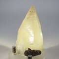 Elmwood Calcite Mineral Specimen ~65mm
