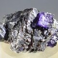 Elmwood Fluorite & Sphalerite Mineral Specimen (U.S.A.) ~38mm