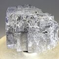 Elmwood Galena Mineral Specimen (U.S.A.) ~30mm