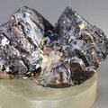 Elmwood Sphalerite Specimen (U.S.A.) ~43mm