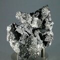 Enargite & Tetrahedrite Mineral Specimen ~73mm