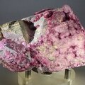 Erythrite, Mount Cobalt, Australia ~85mm