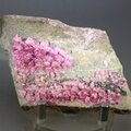 Erythrite, Mount Cobalt, Australia ~95mm