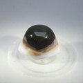 Evil Eye Agate Tumblestone ~25mm