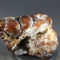 Fire Agate Healing Crystal ~35mm