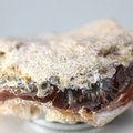 Fire Agate Healing Crystal ~43mm