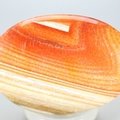 Fire Agate Palmstone (Extra Grade) ~70 x 50 mm