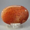 Fire Agate Palmstone (Extra Grade) ~70x50mm