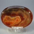 Fire Agate Palmstone (Extra Grade) ~70x50mm