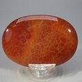 Fire Agate Palmstone (Extra Grade) ~70x50mm