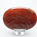 Fire Agate Palmstone (Extra Grade) ~70x50mm