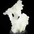 Flos Ferri Aragonite Healing Mineral ~36mm