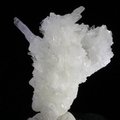 Flos Ferri Aragonite Healing Mineral ~38mm