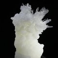 Flos Ferri Aragonite Healing Mineral ~40mm