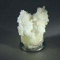 Flos Ferri Aragonite Healing Mineral ~40mm