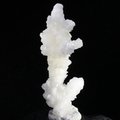 Flos Ferri Aragonite Healing Mineral ~42mm