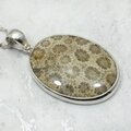 Flower Coral 925 Sterling Silver Oval Pendant  ~37mm