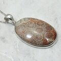 Flower Coral 925 Sterling Silver Oval Pendant  ~40mm