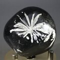 Flower Stone ~47mm