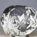 Flower Stone ~48mm