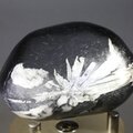 Flower Stone ~52mm