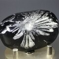 Flower Stone ~55mm
