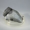 Fossilised Megalodon Tooth ~50mm