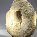 Fossilised Mosasaur Tooth on Matrix ~120 x 105mm