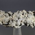 Fulgurite Healing Crystal ~45mm